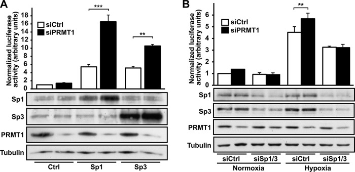 FIGURE 6: