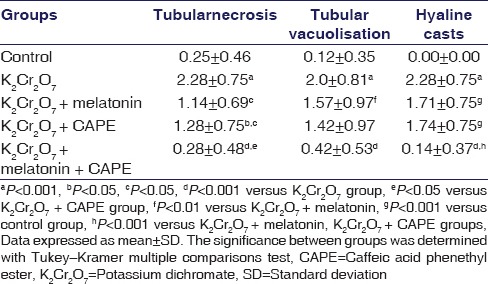 graphic file with name IJPharm-48-407-g004.jpg