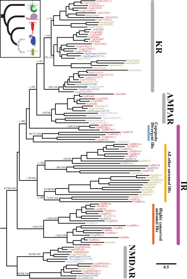 Fig. 3