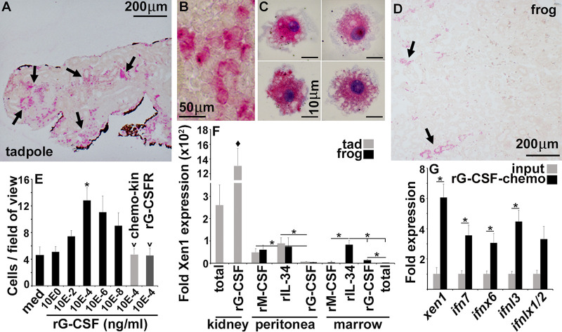 FIG 3