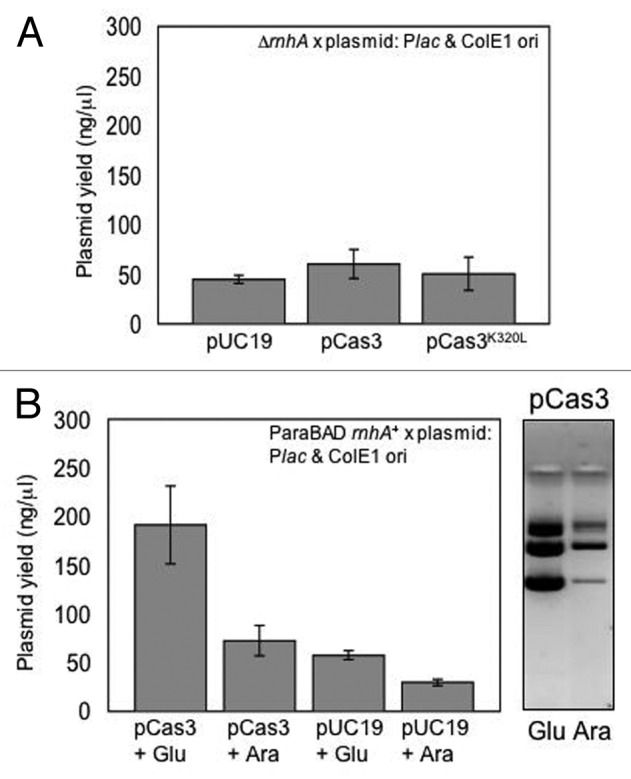 graphic file with name rna-10-770-g2.jpg