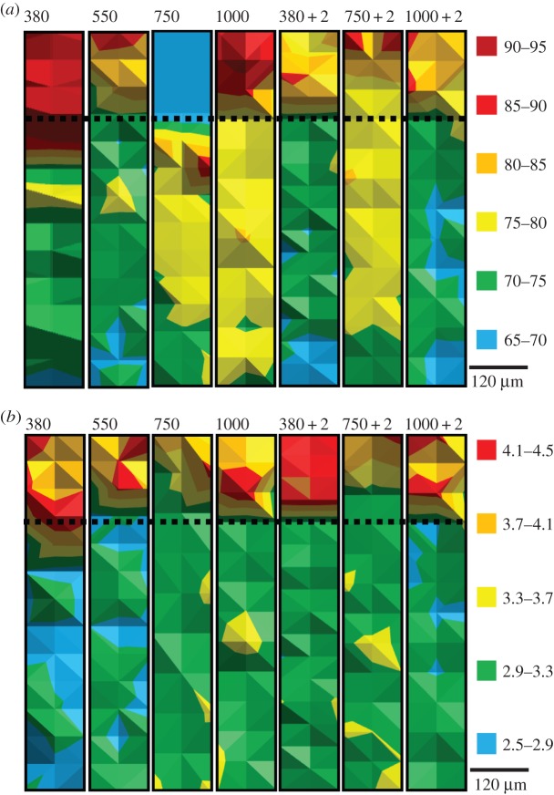 Figure 2.