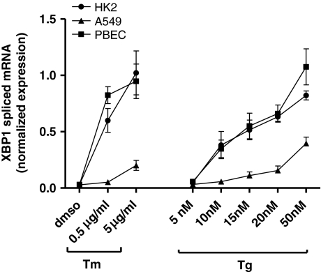 Fig. 4