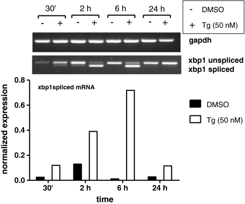 Fig. 2