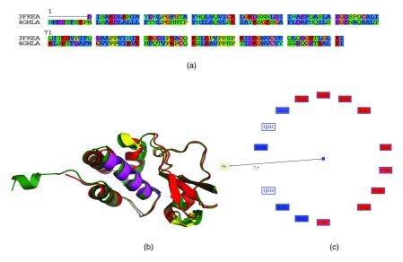 Figure 3. 