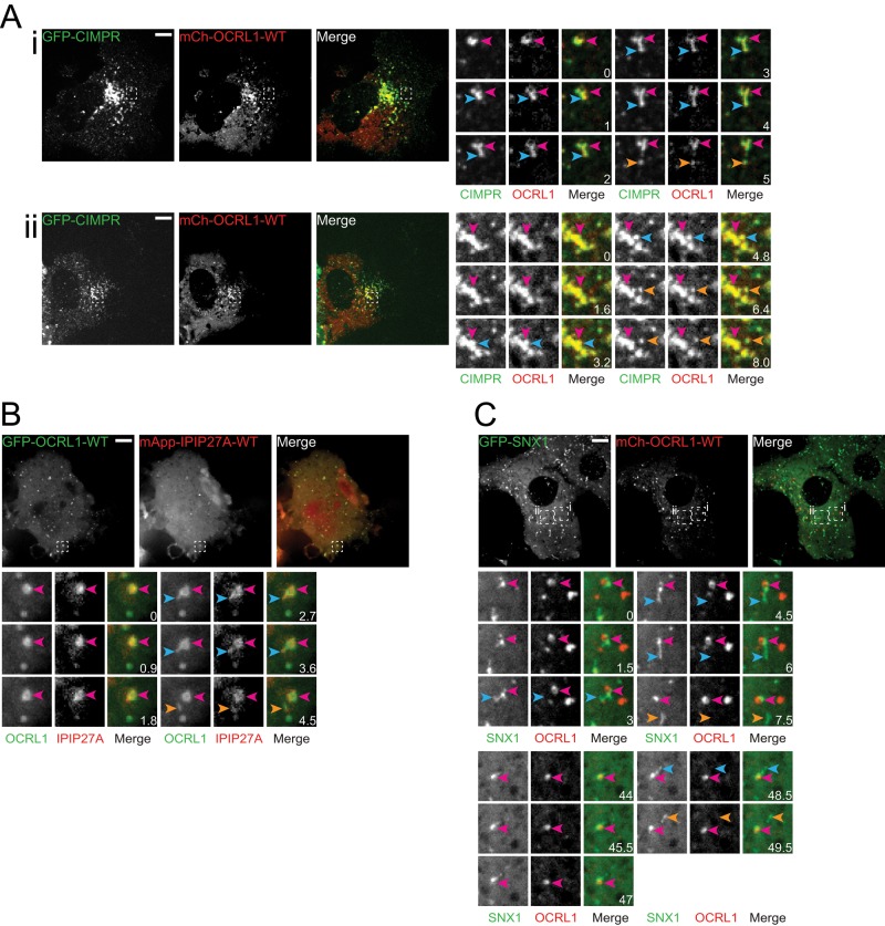 FIGURE 3: