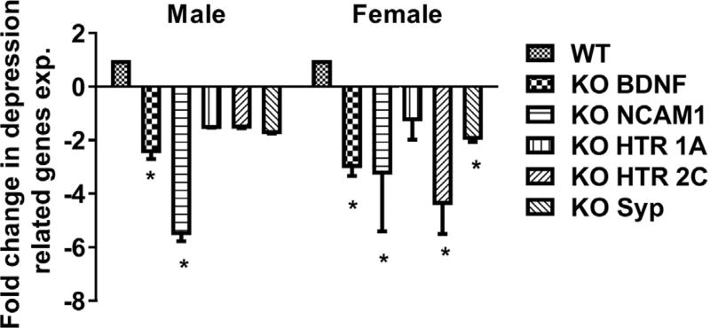 Fig. 9