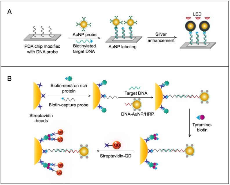 Figure 13