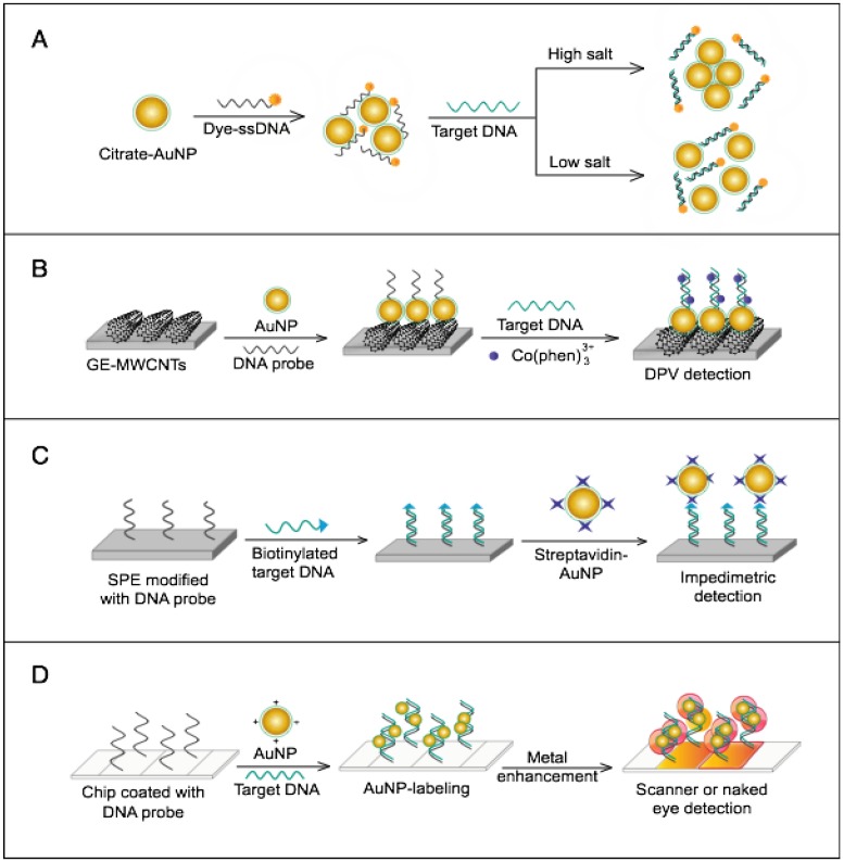 Figure 12