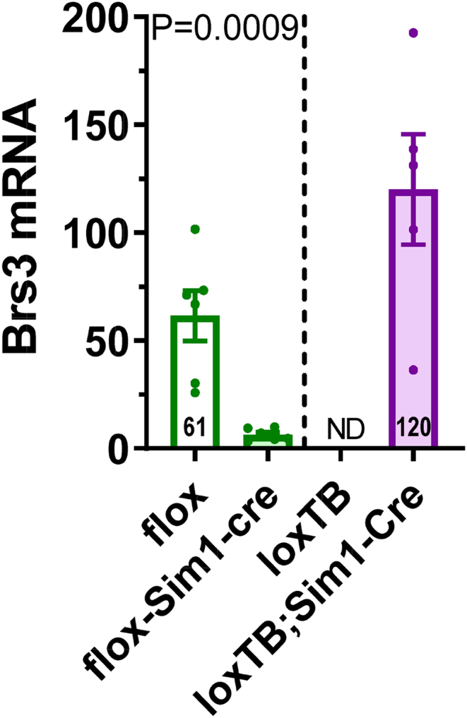 Figure 4