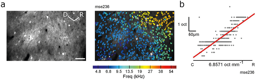 Extended Data Fig. 7 |