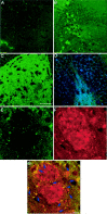 Fig. 9.