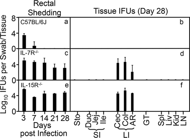 FIG 6