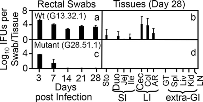 FIG 1