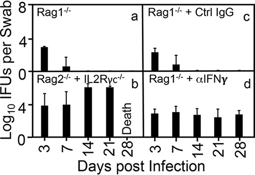 FIG 3