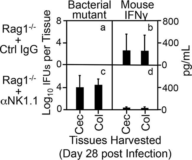 FIG 5