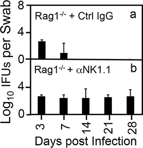 FIG 4