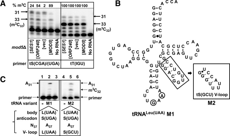 FIGURE 9.