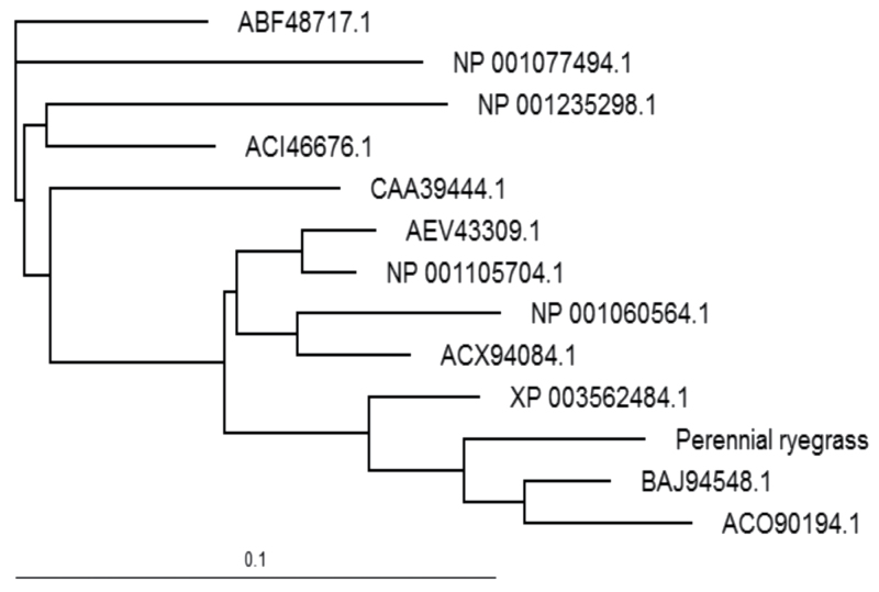 Fig. 5.