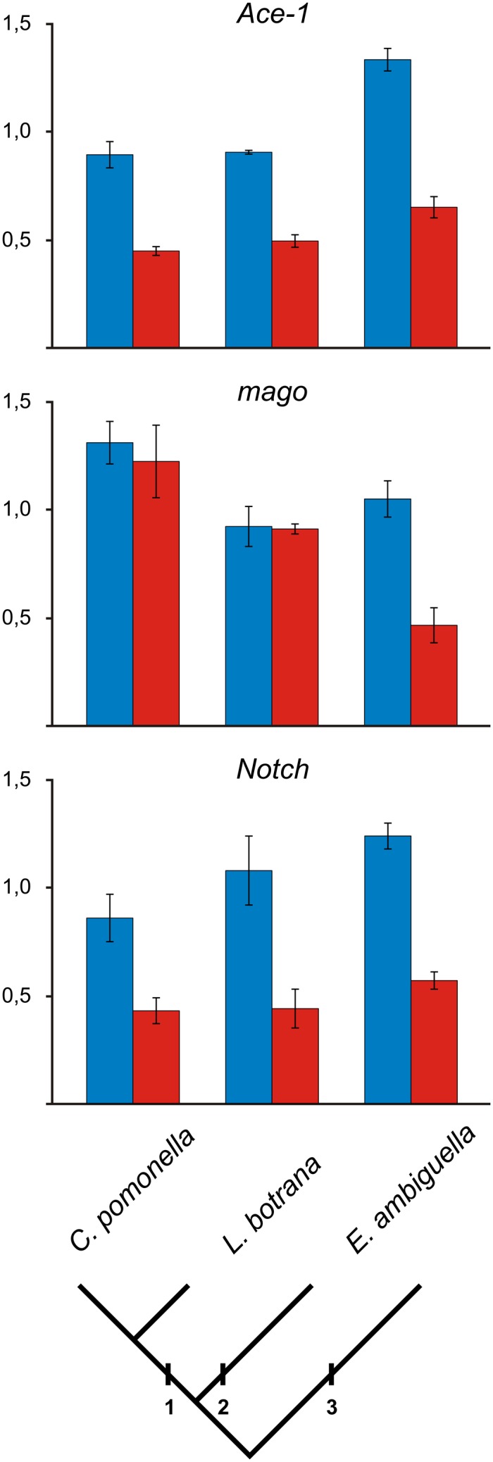 Fig. 3.