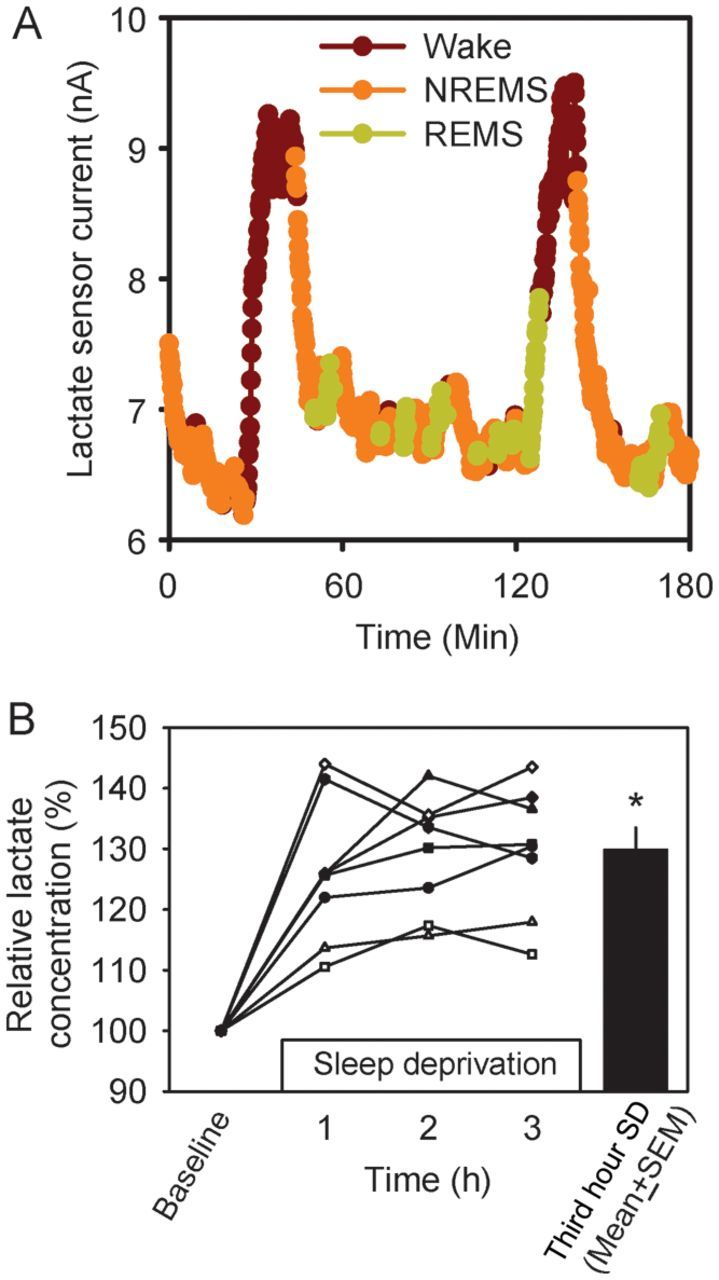 Figure 1.