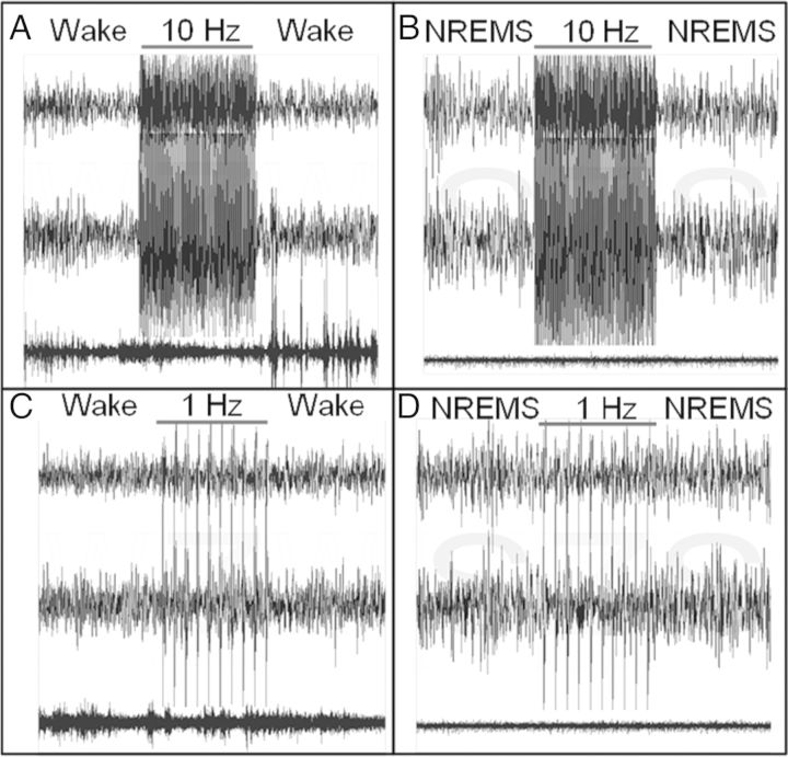 Figure 6.