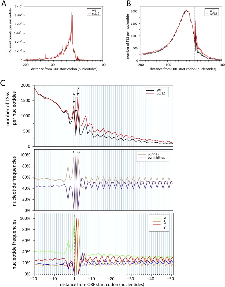 Figure 7—figure supplement 1.