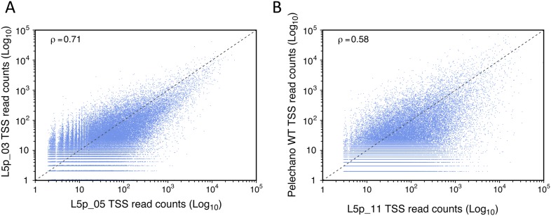 Figure 1—figure supplement 1.