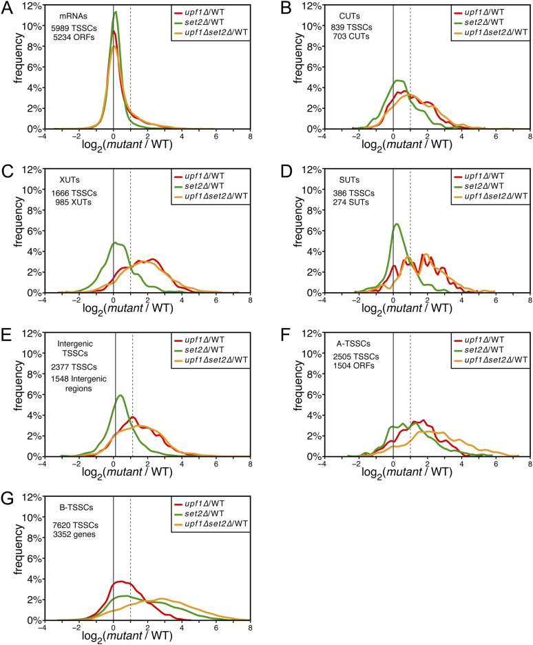 Figure 5—figure supplement 1.