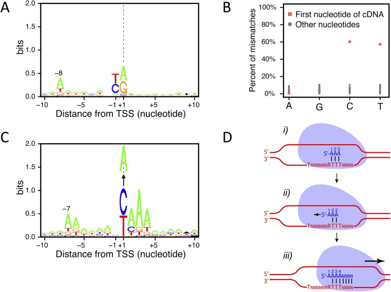 Figure 1—figure supplement 2.