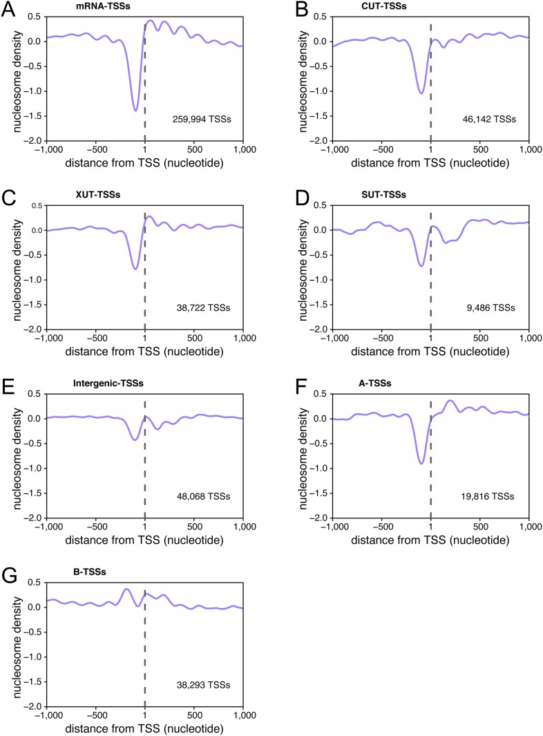 Figure 6—figure supplement 2.