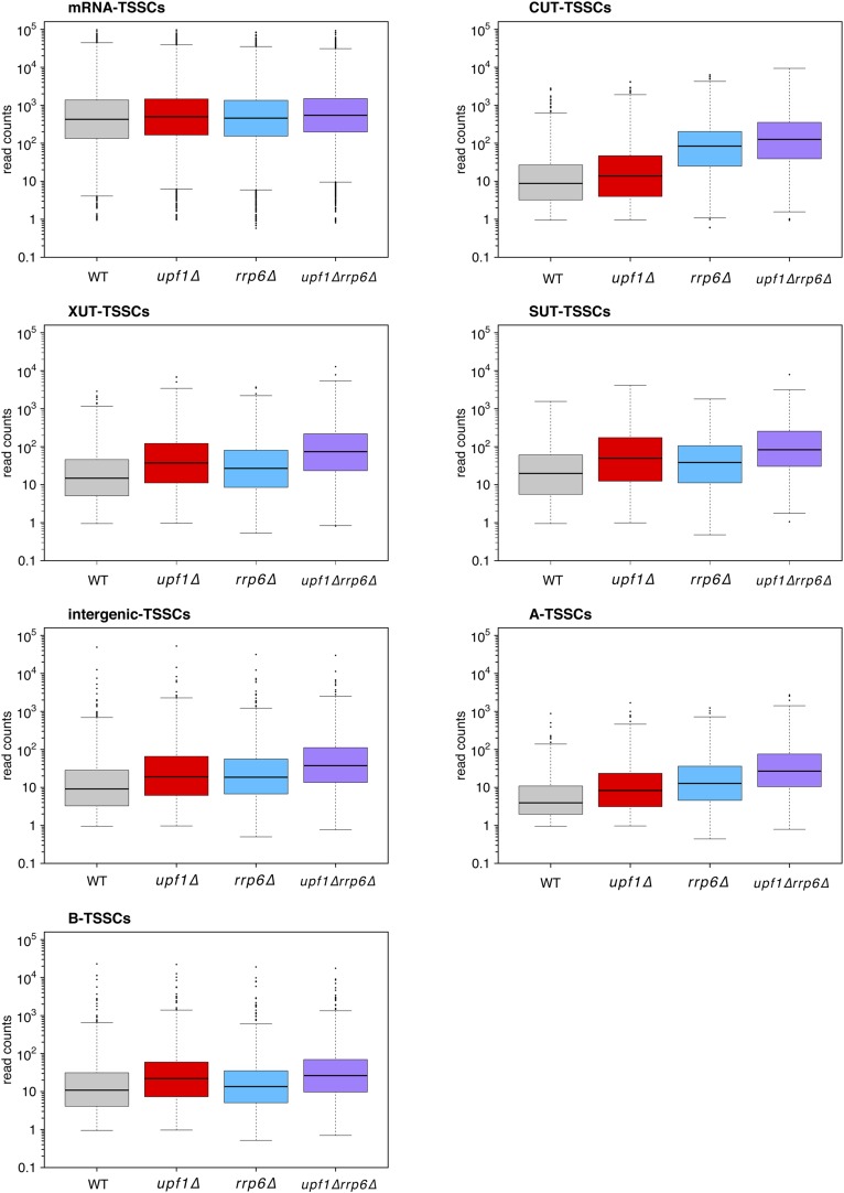 Figure 4—figure supplement 1.