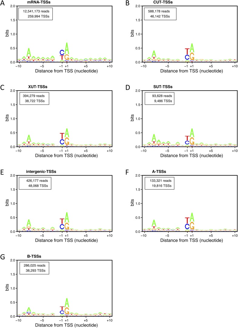 Figure 4—figure supplement 2.