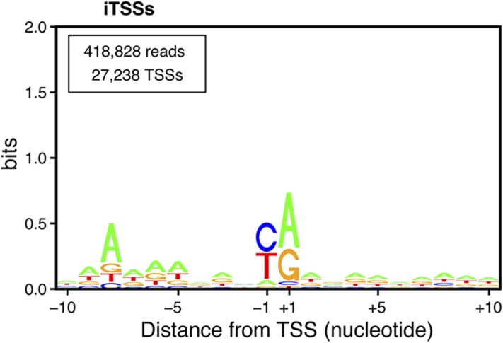 Figure 7—figure supplement 2.