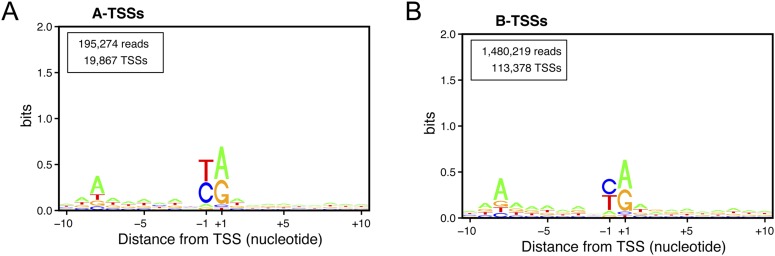 Figure 6—figure supplement 1.