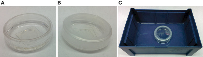 Fig. 2