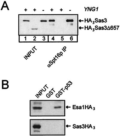 FIG. 5.