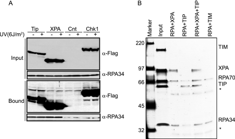 FIG. 5.