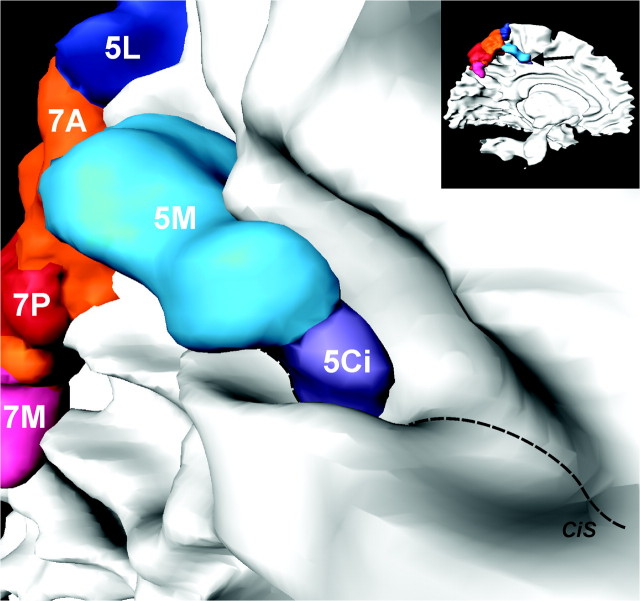 Figure 9.
