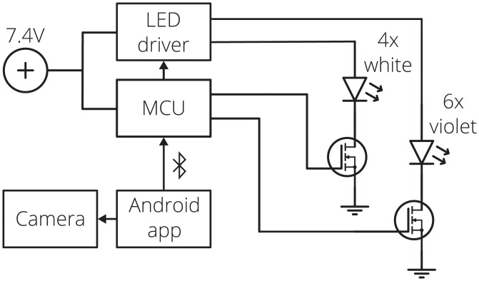 Fig 5