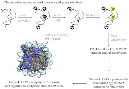 Fig. P1.