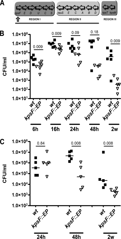 FIG. 1.