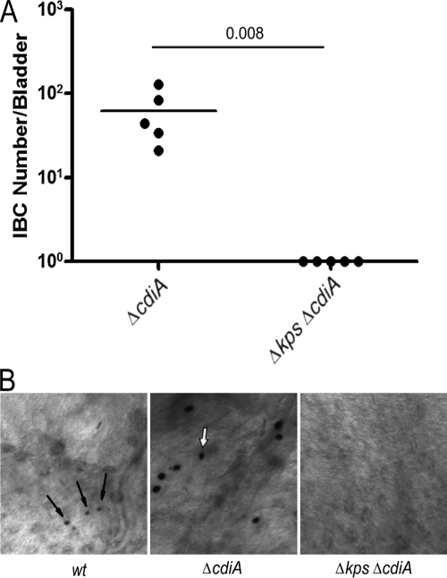 FIG. 7.