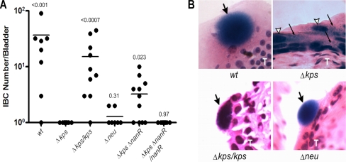 FIG. 8.