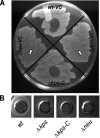 FIG. 3.