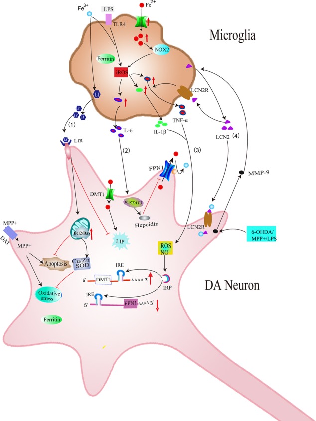 FIGURE 3