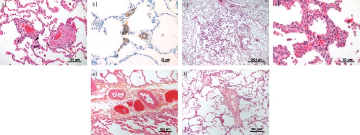 FIGURE 2