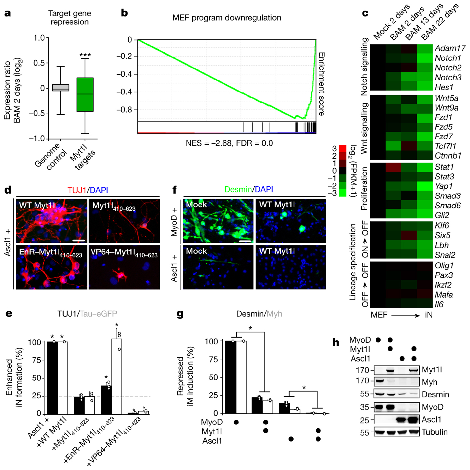 Fig. 2: