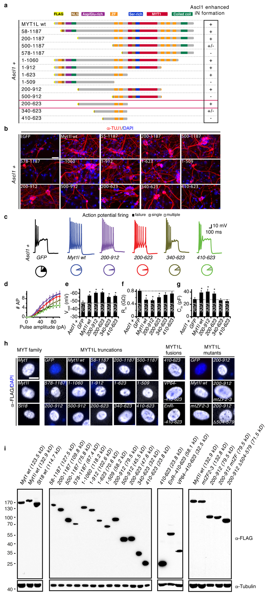 Fig. ED5: