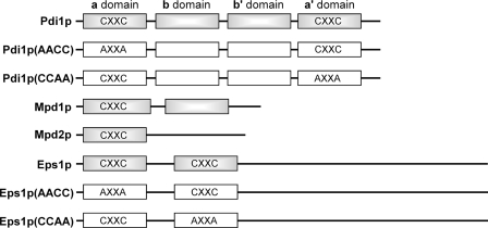 FIGURE 1.